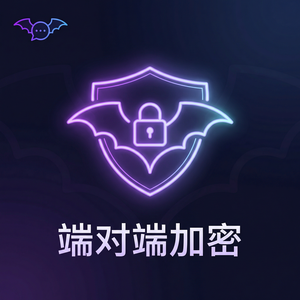 蝙蝠聊天 - 蝙蝠聊天软件技术团队介绍